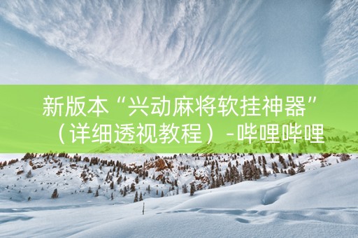 新版本“兴动麻将软挂神器”（详细透视教程）-哔哩哔哩