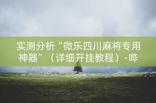 实测分析“微乐四川麻将专用神器”（详细开挂教程）-哔哩哔哩
