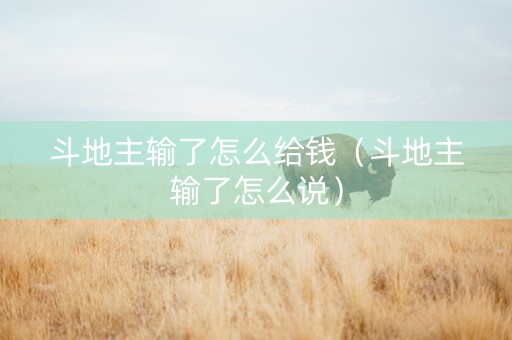 斗地主输了怎么给钱（斗地主输了怎么说）