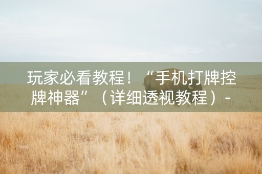 玩家必看教程！“手机打牌控牌神器”（详细透视教程）-哔哩哔哩