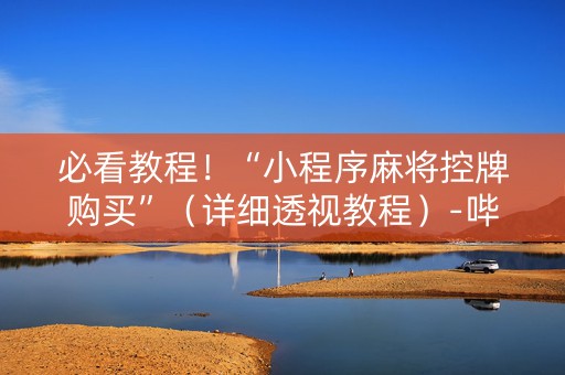 必看教程！“小程序麻将控牌购买”（详细透视教程）-哔哩哔哩