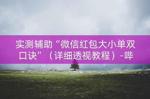 实测辅助“微信红包大小单双口诀”（详细透视教程）-哔哩哔哩