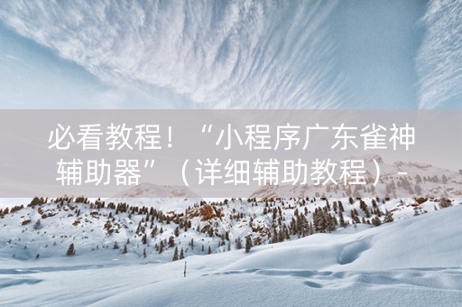 必看教程！“小程序广东雀神辅助器”（详细辅助教程）-哔哩哔哩