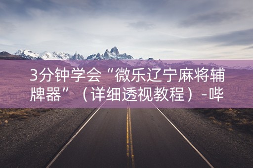 3分钟学会“微乐辽宁麻将辅牌器”（详细透视教程）-哔哩哔哩
