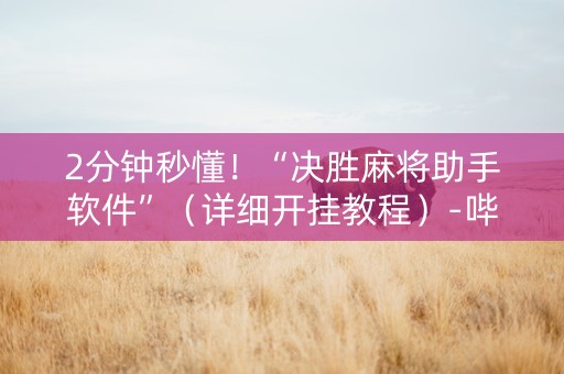 2分钟秒懂！“决胜麻将助手软件”（详细开挂教程）-哔哩哔哩
