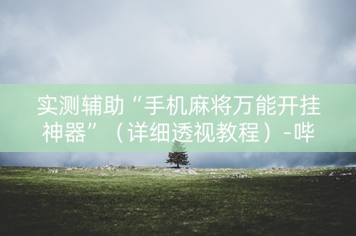 实测辅助“手机麻将万能开挂神器”（详细透视教程）-哔哩哔哩