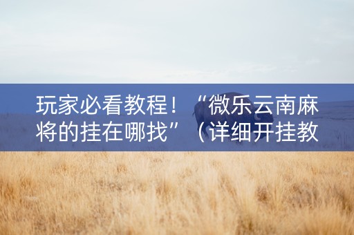 玩家必看教程！“微乐云南麻将的挂在哪找”（详细开挂教程）-哔哩哔哩