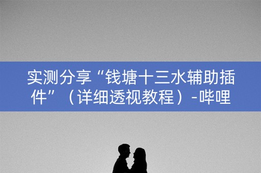 实测分享“钱塘十三水辅助插件”（详细透视教程）-哔哩哔哩