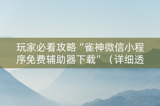 玩家必看攻略“雀神微信小程序免费辅助器下载”（详细透视教程）-哔哩哔哩