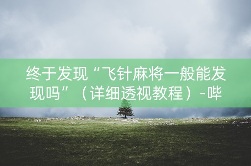 终于发现“飞针麻将一般能发现吗”（详细透视教程）-哔哩哔哩