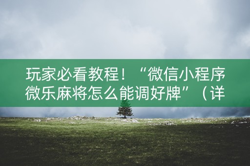 玩家必看教程！“微信小程序微乐麻将怎么能调好牌”（详细开挂教程）-哔哩哔哩