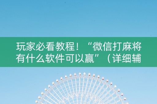 玩家必看教程！“微信打麻将有什么软件可以赢”（详细辅助教程）-哔哩哔哩