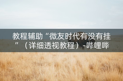教程辅助“微友时代有没有挂”（详细透视教程）-哔哩哔哩