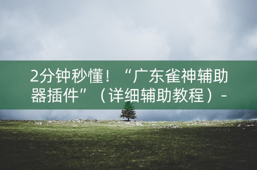 2分钟秒懂！“广东雀神辅助器插件”（详细辅助教程）-哔哩哔哩