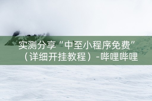 实测分享“中至小程序免费”（详细开挂教程）-哔哩哔哩