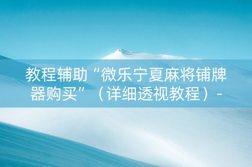 教程辅助“微乐宁夏麻将铺牌器购买”（详细透视教程）-哔哩哔哩