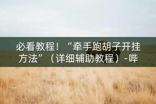 必看教程！“牵手跑胡子开挂方法”（详细辅助教程）-哔哩哔哩