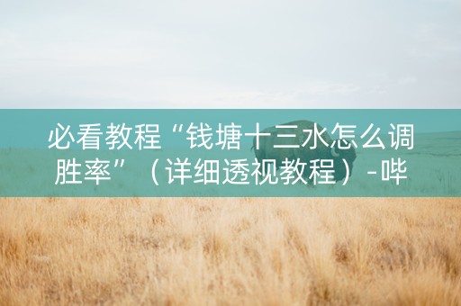 必看教程“钱塘十三水怎么调胜率”（详细透视教程）-哔哩哔哩