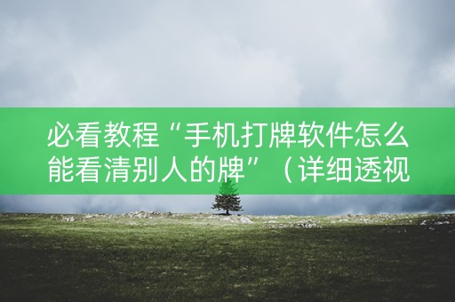 必看教程“手机打牌软件怎么能看清别人的牌”（详细透视教程）-哔哩哔哩