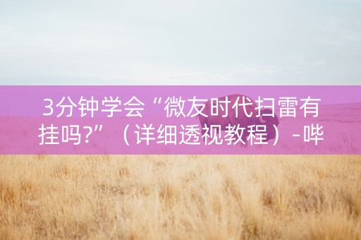 3分钟学会“微友时代扫雷有挂吗?”（详细透视教程）-哔哩哔哩