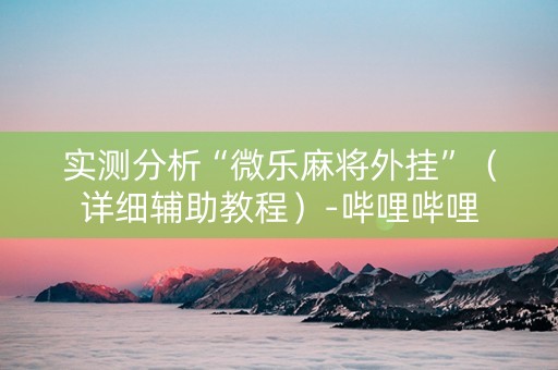 实测分析“微乐麻将外挂”（详细辅助教程）-哔哩哔哩