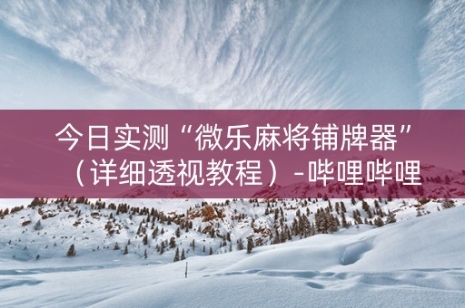 今日实测“微乐麻将铺牌器”（详细透视教程）-哔哩哔哩