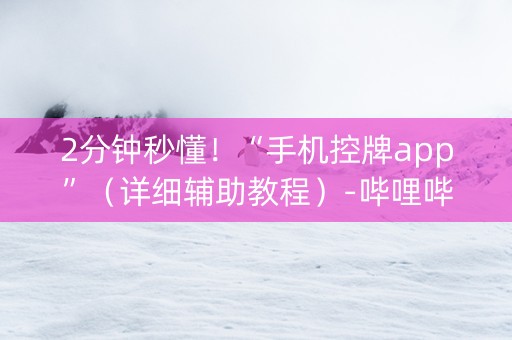 2分钟秒懂！“手机控牌app”（详细辅助教程）-哔哩哔哩