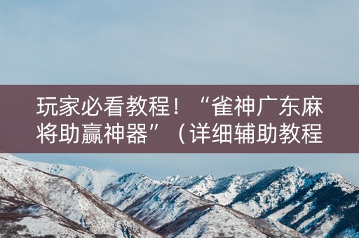 玩家必看教程！“雀神广东麻将助赢神器”（详细辅助教程）-哔哩哔哩