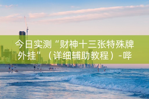 今日实测“财神十三张特殊牌外挂”（详细辅助教程）-哔哩哔哩
