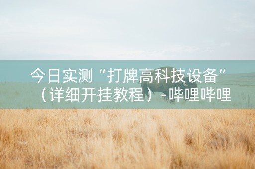 今日实测“打牌高科技设备”（详细开挂教程）-哔哩哔哩