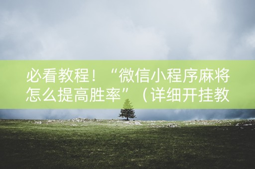 必看教程！“微信小程序麻将怎么提高胜率”（详细开挂教程）-哔哩哔哩
