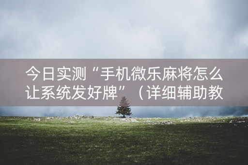 今日实测“手机微乐麻将怎么让系统发好牌”（详细辅助教程）-哔哩哔哩