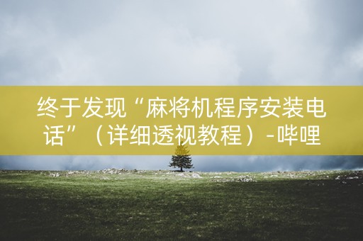 终于发现“麻将机程序安装电话”（详细透视教程）-哔哩哔哩