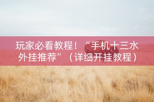 玩家必看教程！“手机十三水外挂推荐”（详细开挂教程）-哔哩哔哩