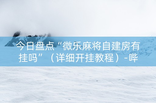 今日盘点“微乐麻将自建房有挂吗”（详细开挂教程）-哔哩哔哩