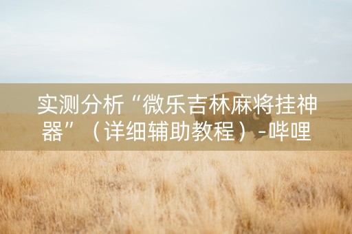 实测分析“微乐吉林麻将挂神器”（详细辅助教程）-哔哩哔哩