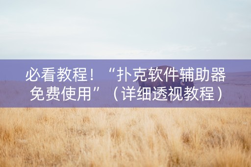 必看教程！“扑克软件辅助器免费使用”（详细透视教程）-哔哩哔哩