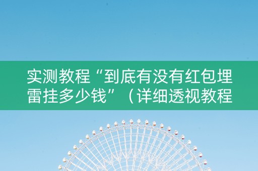 实测教程“到底有没有红包埋雷挂多少钱”（详细透视教程）-哔哩哔哩