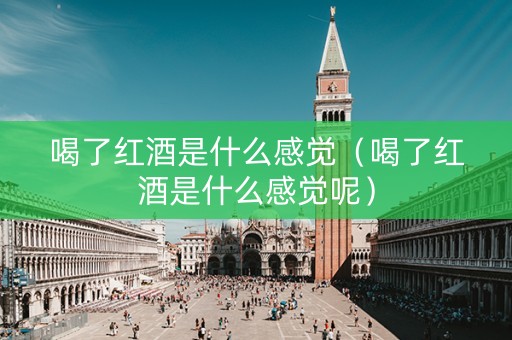 详细阅读:喝了红酒是什么感觉(喝了红酒是什么感觉呢) 喝了红酒是什么感觉(喝了红酒是什么感觉呢)