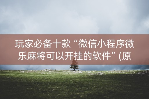 玩家必备十款“微信小程序微乐麻将可以开挂的软件”(原来真的有挂)-知乎