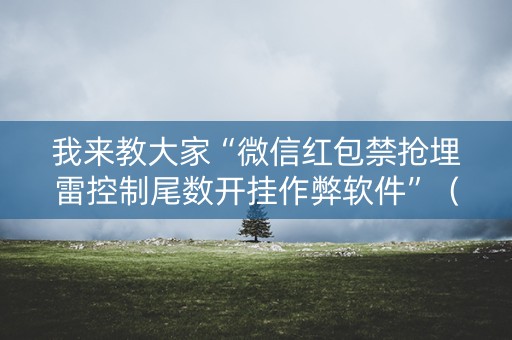 我来教大家“微信红包禁抢埋雷控制尾数开挂作弊软件”（详细透视教程）-哔哩哔哩