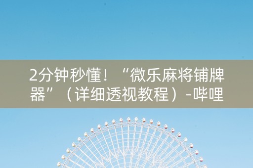 2分钟秒懂！“微乐麻将铺牌器”（详细透视教程）-哔哩哔哩