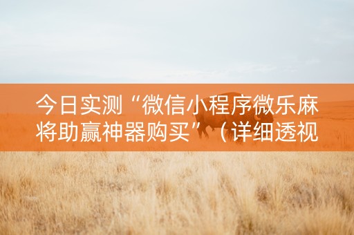 今日实测“微信小程序微乐麻将助赢神器购买”（详细透视教程）-哔哩哔哩