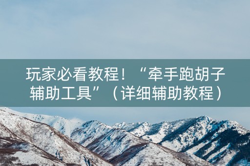 玩家必看教程！“牵手跑胡子辅助工具”（详细辅助教程）-哔哩哔哩