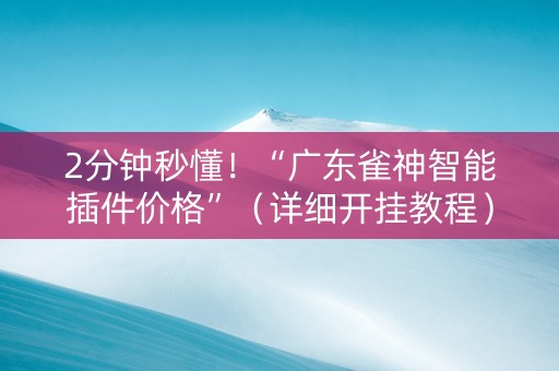 2分钟秒懂！“广东雀神智能插件价格”（详细开挂教程）-哔哩哔哩