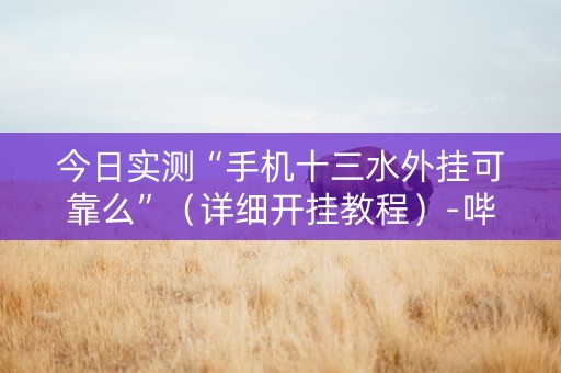 今日实测“手机十三水外挂可靠么”（详细开挂教程）-哔哩哔哩