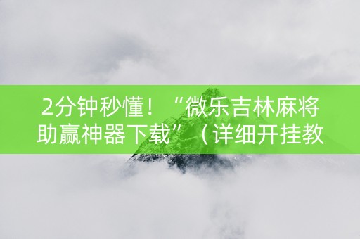 2分钟秒懂！“微乐吉林麻将助赢神器下载”（详细开挂教程）-哔哩哔哩