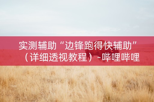 实测辅助“边锋跑得快辅助”（详细透视教程）-哔哩哔哩