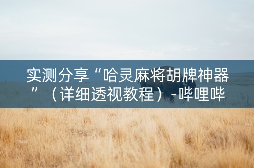 实测分享“哈灵麻将胡牌神器”（详细透视教程）-哔哩哔哩