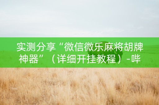 实测分享“微信微乐麻将胡牌神器”（详细开挂教程）-哔哩哔哩